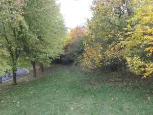Dražba louky, Ústí nad Labem, 570 m2
