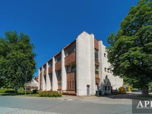 Pronájem obchodního prostoru, Starý Hrozenkov, 520 m2