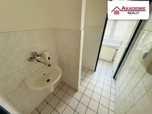 Pronájem pokoje, Brno, Bezručova, 25 m2