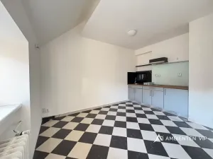 Prodej bytu 1+1, Brno, Čápkova, 54 m2