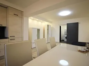 Pronájem bytu 1+kk, Brno, Zákoutí, 58 m2