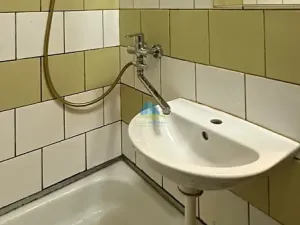 Prodej bytu 1+1, Plesná, Světlá, 35 m2