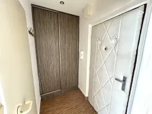 Prodej bytu 1+kk, Hradec Králové, Třebechovická, 35 m2