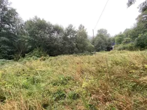 Prodej pozemku, Andělská Hora - Pustá Rudná, 1758 m2