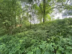 Prodej pozemku, Nové Hrady - Nakolice, 974 m2