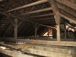 Prodej komerční, Habří, 316 m2