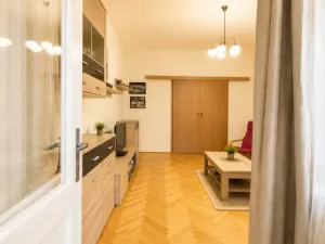Pronájem bytu 2+kk, Ústí nad Labem - Ústí nad Labem-centrum, Růžový palouček, 57 m2