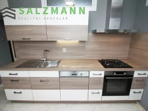 Pronájem bytu 3+1, Plzeň, Pod Švabinami, 74 m2