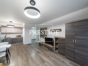 Pronájem bytu 2+kk, Praha - Karlín, Nekvasilova, 67 m2