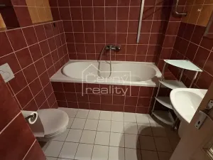 Pronájem komerční nemovitosti, Pardubice, Štrossova, 205 m2