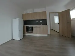 Pronájem bytu 1+kk, Plzeň, Na Chmelnicích, 29 m2