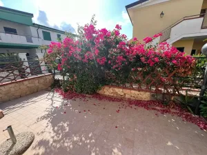 Prodej rodinného domu, Scalea, Itálie, 65 m2