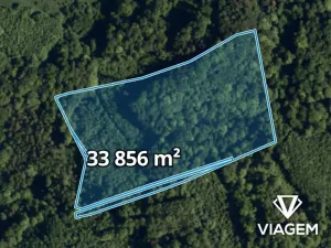 Prodej podílu lesa, Životice u Nového Jičína, 5078 m2