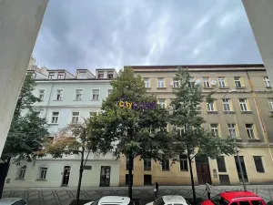 Pronájem bytu 1+kk, Praha - Vinohrady, Jana Masaryka, 52 m2