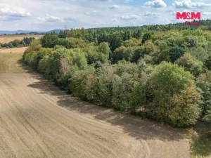 Prodej lesa, Plzeň - Červený Hrádek, 6522 m2