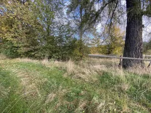 Prodej pozemku, Králíky - Horní Lipka, 3207 m2