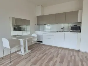 Pronájem bytu 1+kk, Brno, Kigginsova, 42 m2