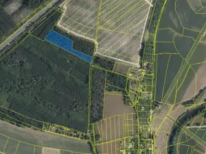 Prodej podílu lesa, Skorkov, 2180 m2