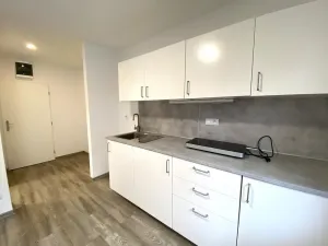 Pronájem bytu 1+kk, Brno - Maloměřice, Hády, 18 m2