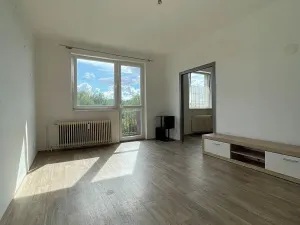 Pronájem bytu 1+1, Doudleby nad Orlicí, U Bažantnice, 42 m2