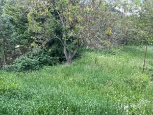 Dražba zahrady, Znojmo, 498 m2