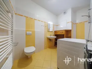 Pronájem bytu 1+kk, Olomouc, Mošnerova, 42 m2