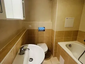 Pronájem bytu 1+1, Hradec Králové, Rybova, 49 m2
