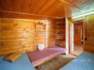 Prodej chaty, Veselí nad Lužnicí - Veselí nad Lužnicí II, Krkavec, 47 m2