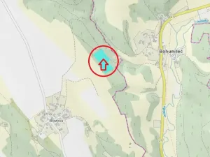 Prodej lesa, Všelibice, 12954 m2