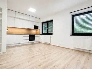 Pronájem bytu 3+kk, Vyškov, Hybešova, 70 m2