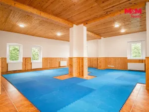 Pronájem ubytování, Levín - Horní Vysoké, 13087 m2