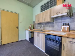 Prodej obchodního prostoru, Černošín, 1100 m2
