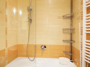 Prodej bytu 2+1, Ostrava, Zeyerova, 42 m2