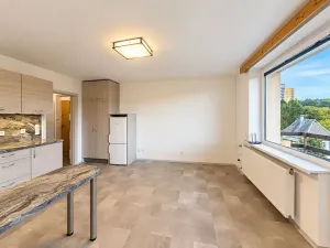 Pronájem bytu 2+kk, Liberec, Pšeničná, 48 m2
