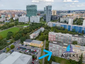 Pronájem bytu 1+kk, Praha - Podolí, Kaplická, 27 m2