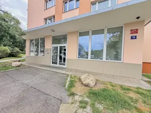 Pronájem bytu 1+kk, Praha - Braník, Vavřenova, 25 m2