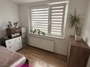 Pronájem bytu 2+1, Olomouc, Jeremiášova, 54 m2