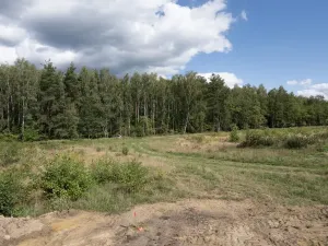 Prodej pozemku, Ralsko - Kuřívody, 1255 m2