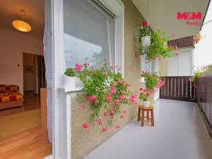 Prodej bytu 3+1, Senice na Hané, Vodní, 79 m2