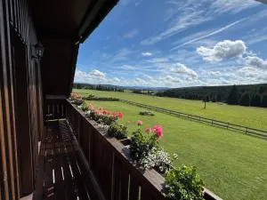 Prodej rodinného domu, Nové Hutě, 300 m2