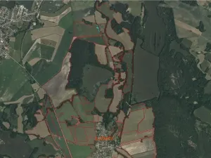 Dražba louky, Lužnice, 608 m2