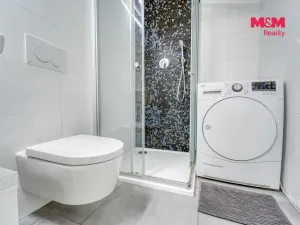 Prodej bytu 1+kk, Praha - Vinohrady, Římská, 35 m2
