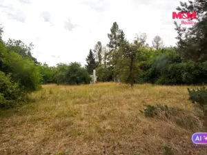 Prodej chaty, Družec, 21 m2
