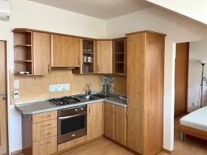 Pronájem bytu 2+kk, Brno, Cacovická, 45 m2