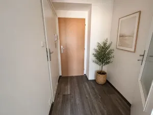 Pronájem bytu 1+1, Litvínov, Podkrušnohorská, 29 m2
