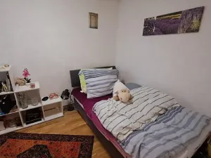 Prodej bytu 5+kk, Praha, 120 m2