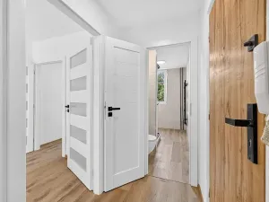 Pronájem bytu 2+1, České Budějovice, L. M. Pařízka, 53 m2