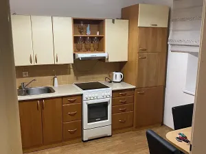 Pronájem bytu 1+1, Prostějov, 49 m2