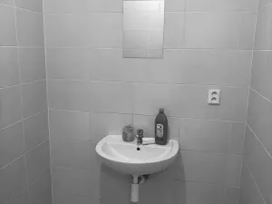 Pronájem obchodního prostoru, Brno - Zábrdovice, Cejl, 135 m2