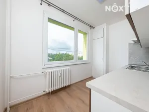 Pronájem bytu 1+1, Heřmanův Městec, V Lukách, 34 m2